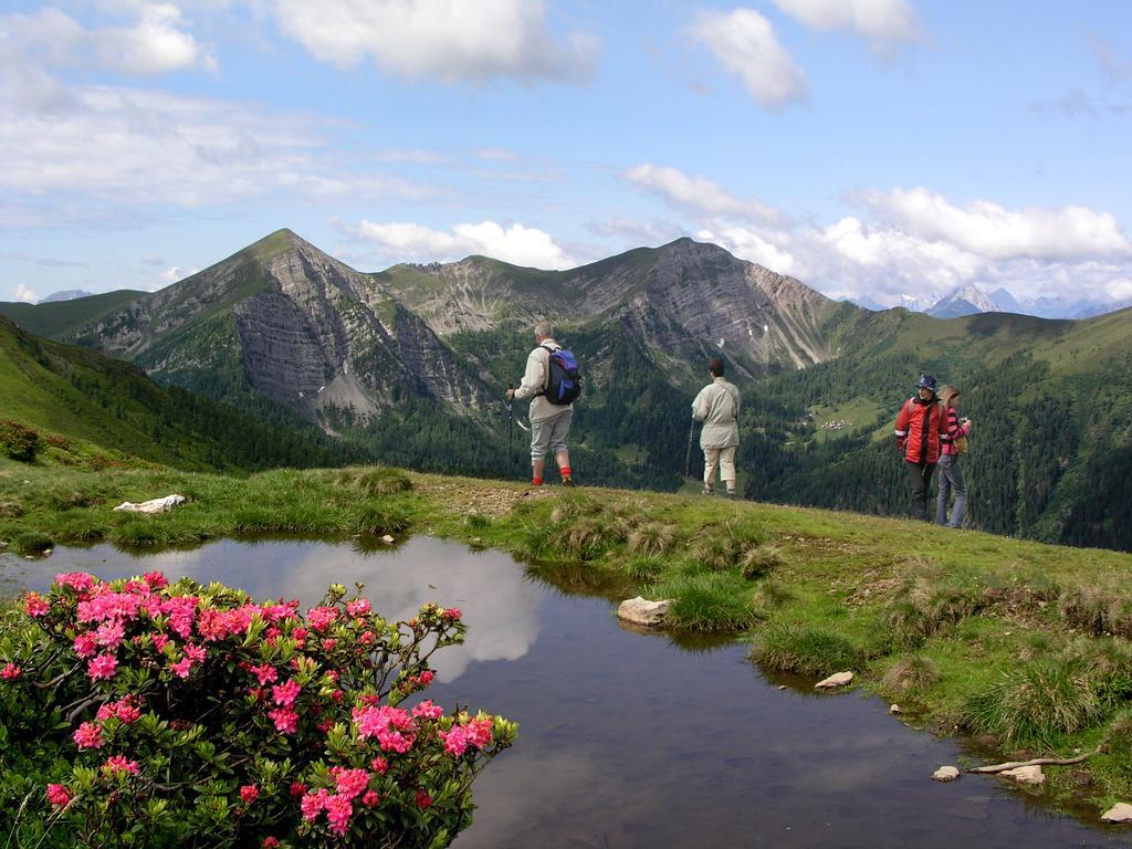 Ferienhaeuser Familie Hofer Stockenboi Weissensee Eksteriør billede